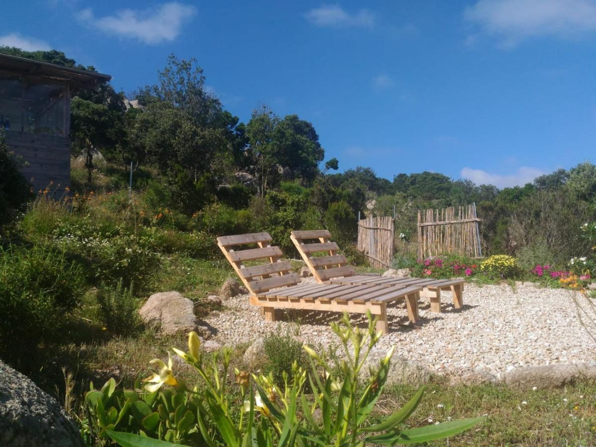 La Cera Farm Camping B&B 圣特雷莎加卢拉 外观 照片