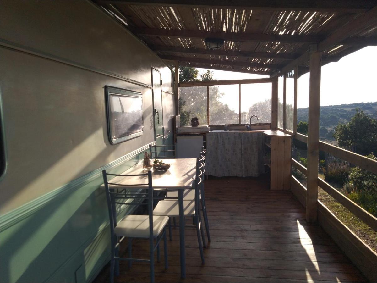 La Cera Farm Camping B&B 圣特雷莎加卢拉 外观 照片