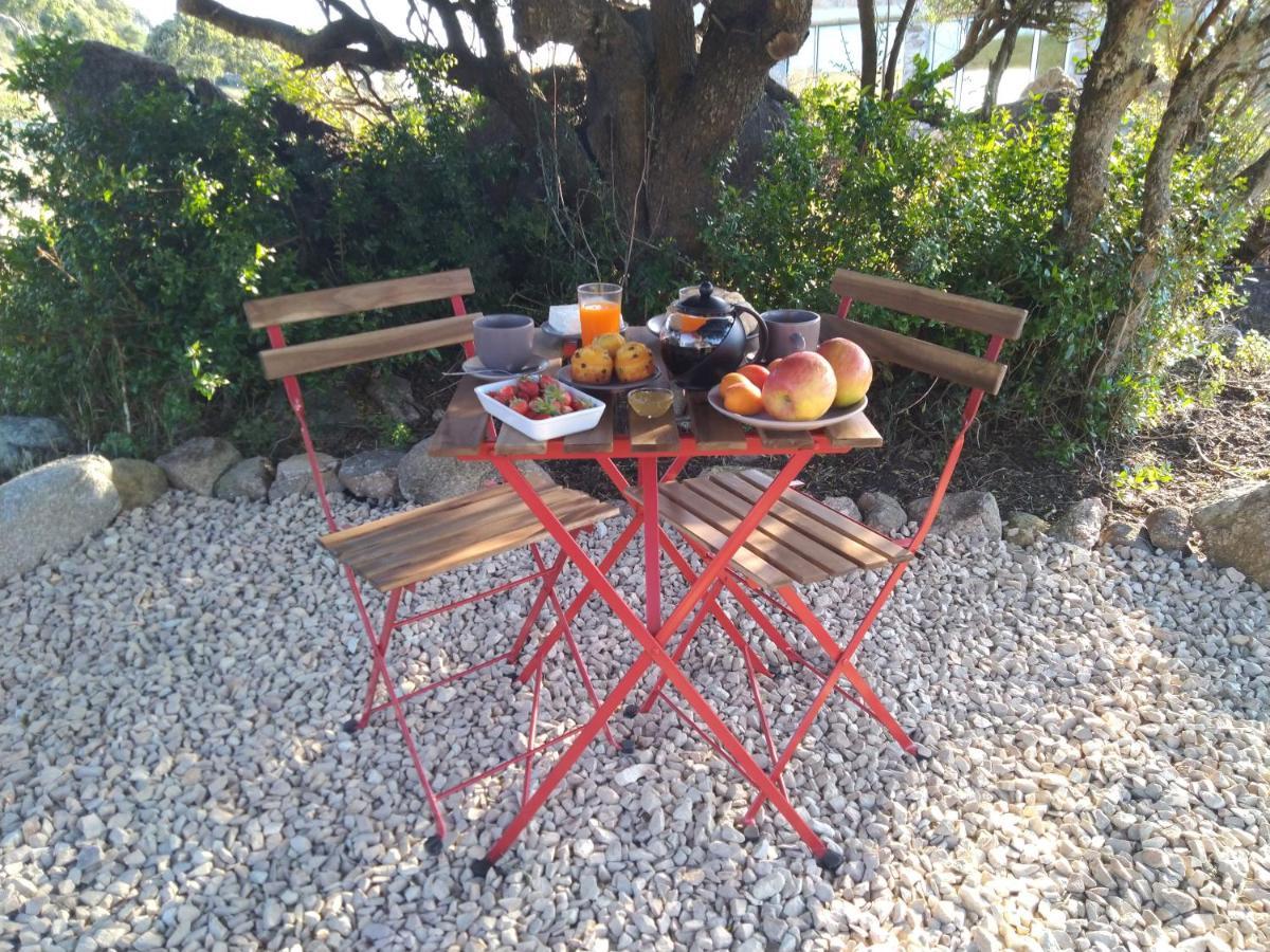 La Cera Farm Camping B&B 圣特雷莎加卢拉 外观 照片