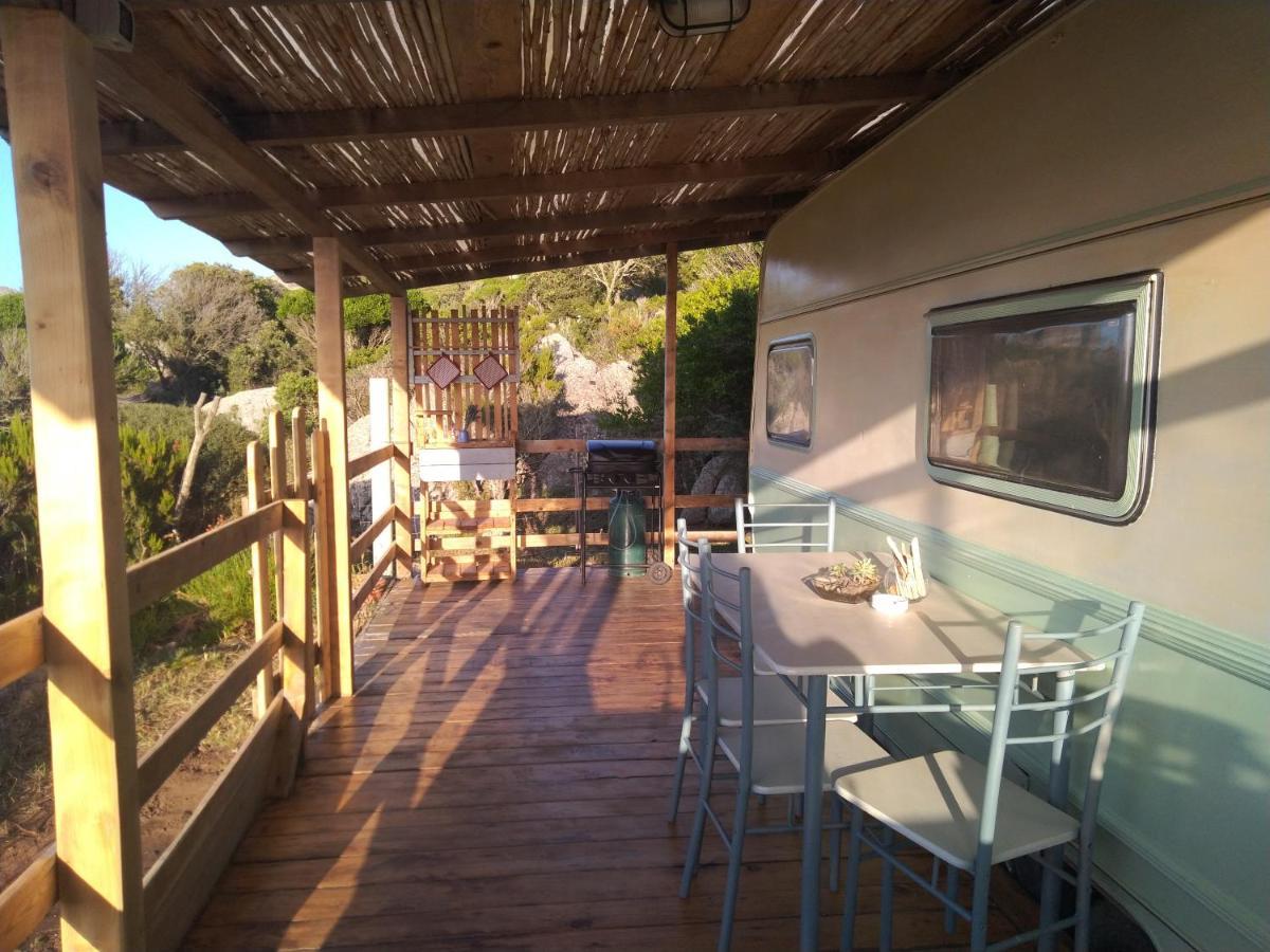 La Cera Farm Camping B&B 圣特雷莎加卢拉 外观 照片
