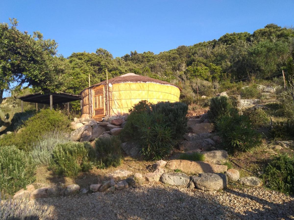 La Cera Farm Camping B&B 圣特雷莎加卢拉 外观 照片