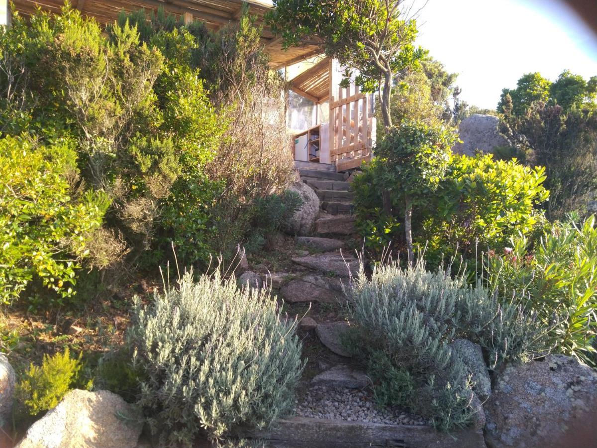 La Cera Farm Camping B&B 圣特雷莎加卢拉 外观 照片