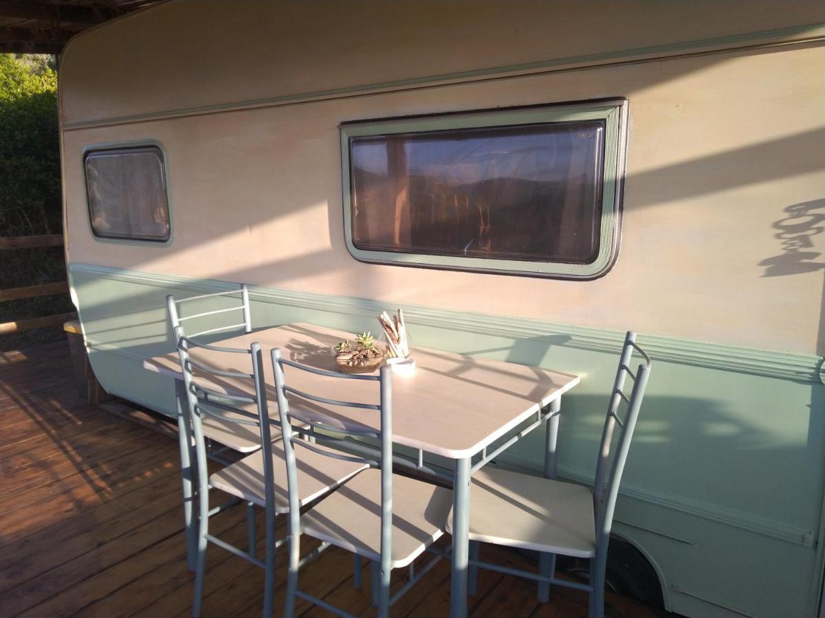 La Cera Farm Camping B&B 圣特雷莎加卢拉 外观 照片
