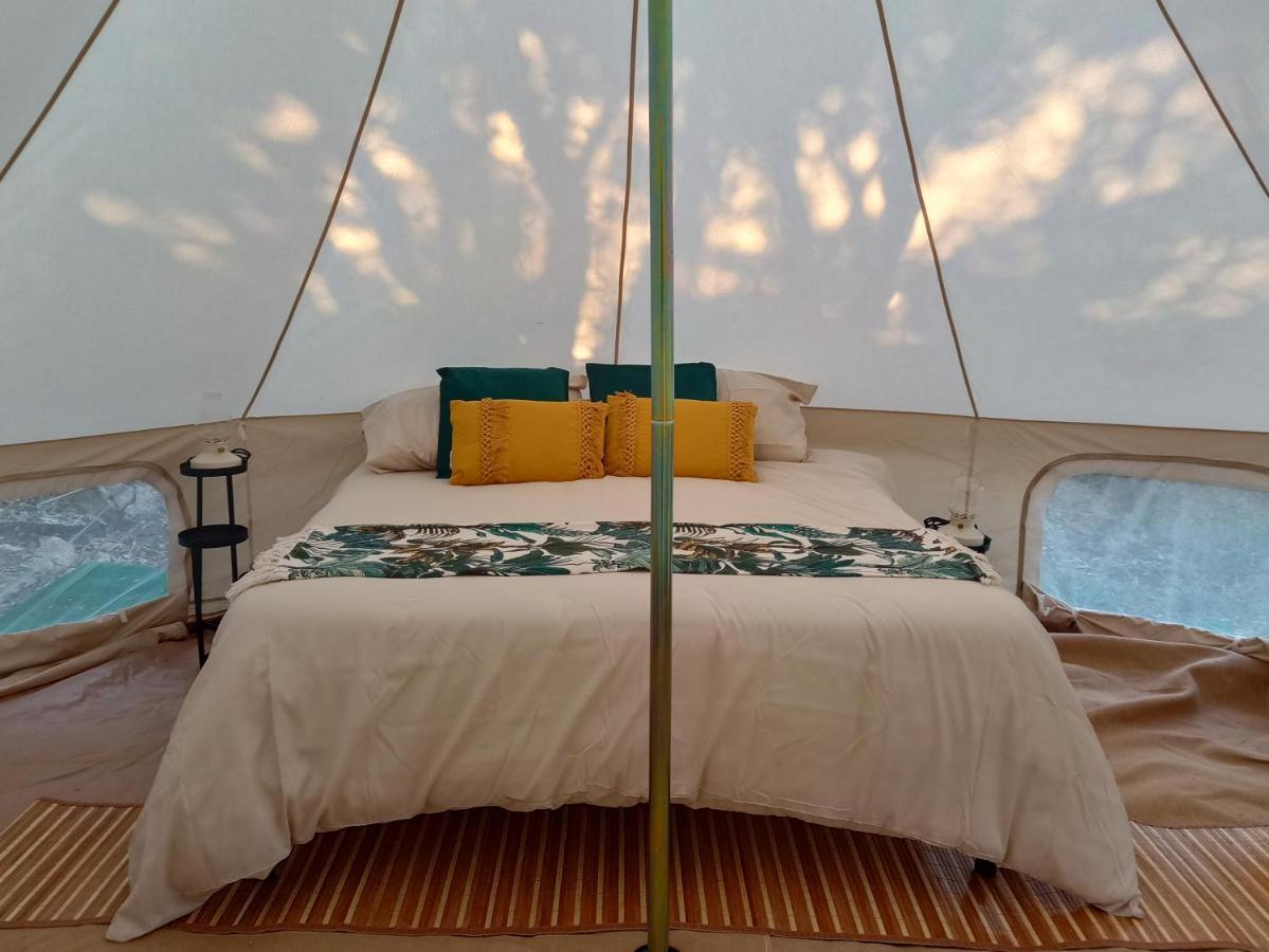 La Cera Farm Camping B&B 圣特雷莎加卢拉 外观 照片