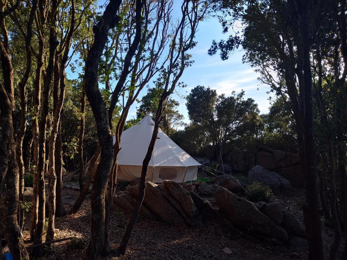 La Cera Farm Camping B&B 圣特雷莎加卢拉 外观 照片