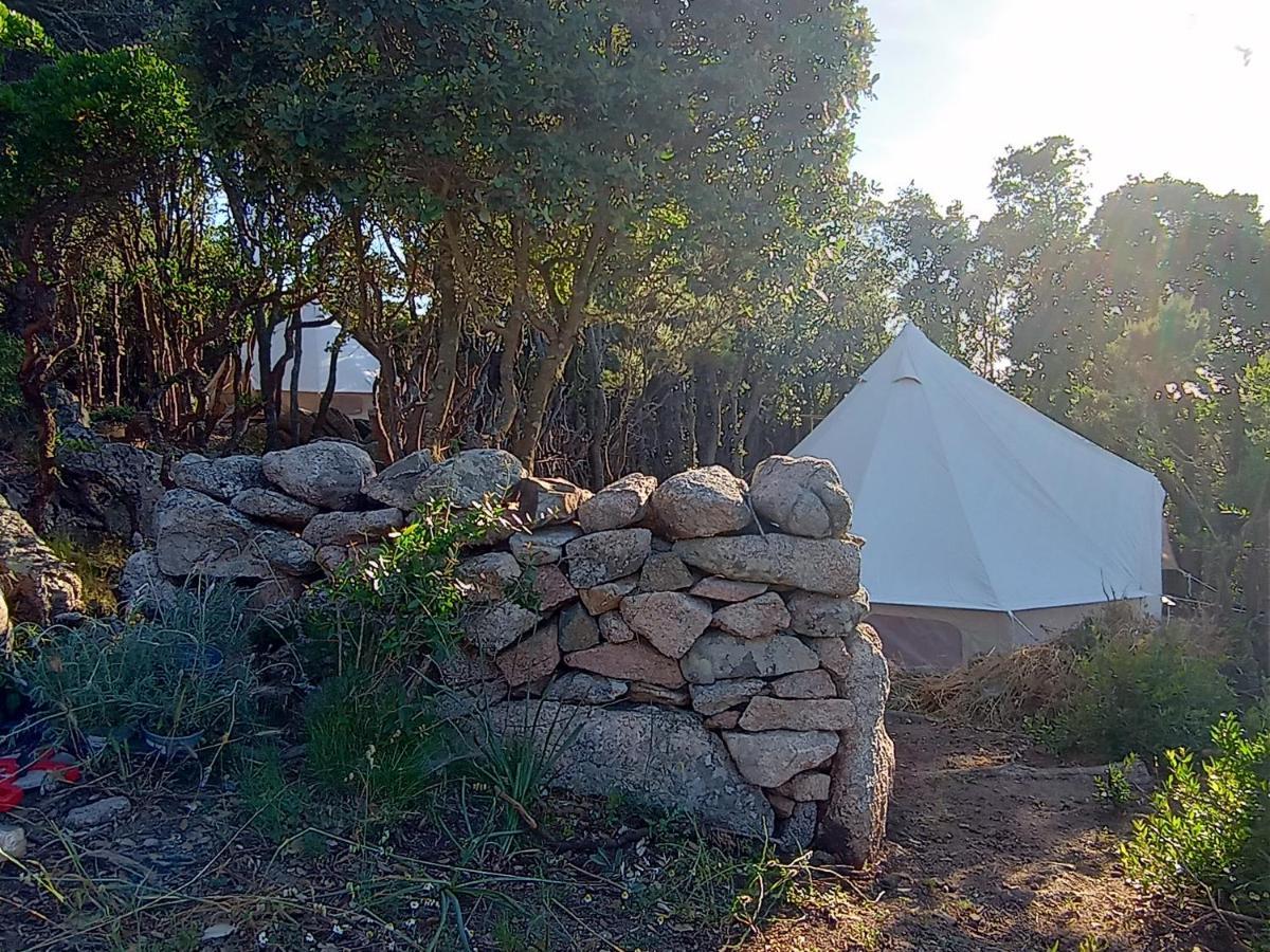 La Cera Farm Camping B&B 圣特雷莎加卢拉 外观 照片