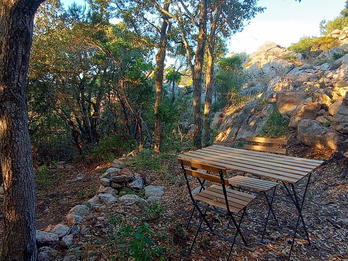 La Cera Farm Camping B&B 圣特雷莎加卢拉 外观 照片