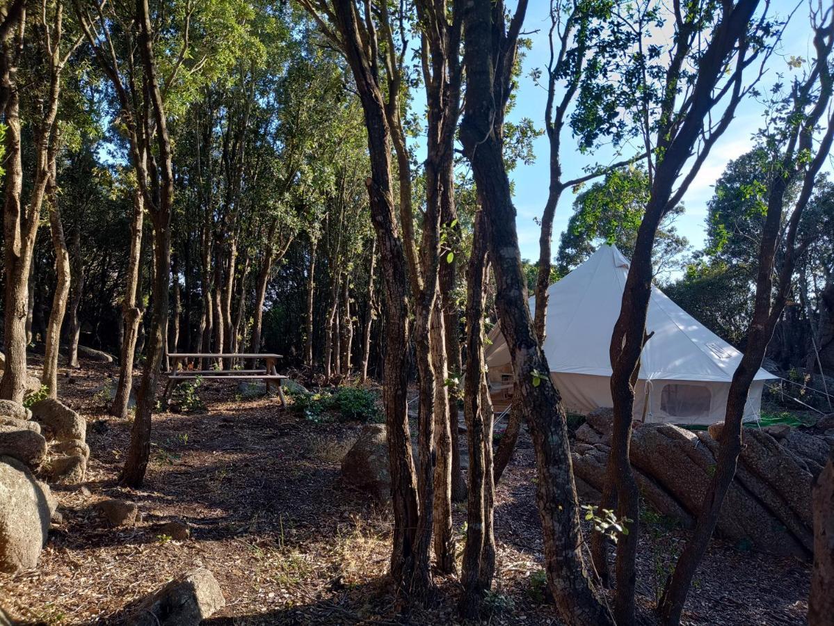 La Cera Farm Camping B&B 圣特雷莎加卢拉 外观 照片