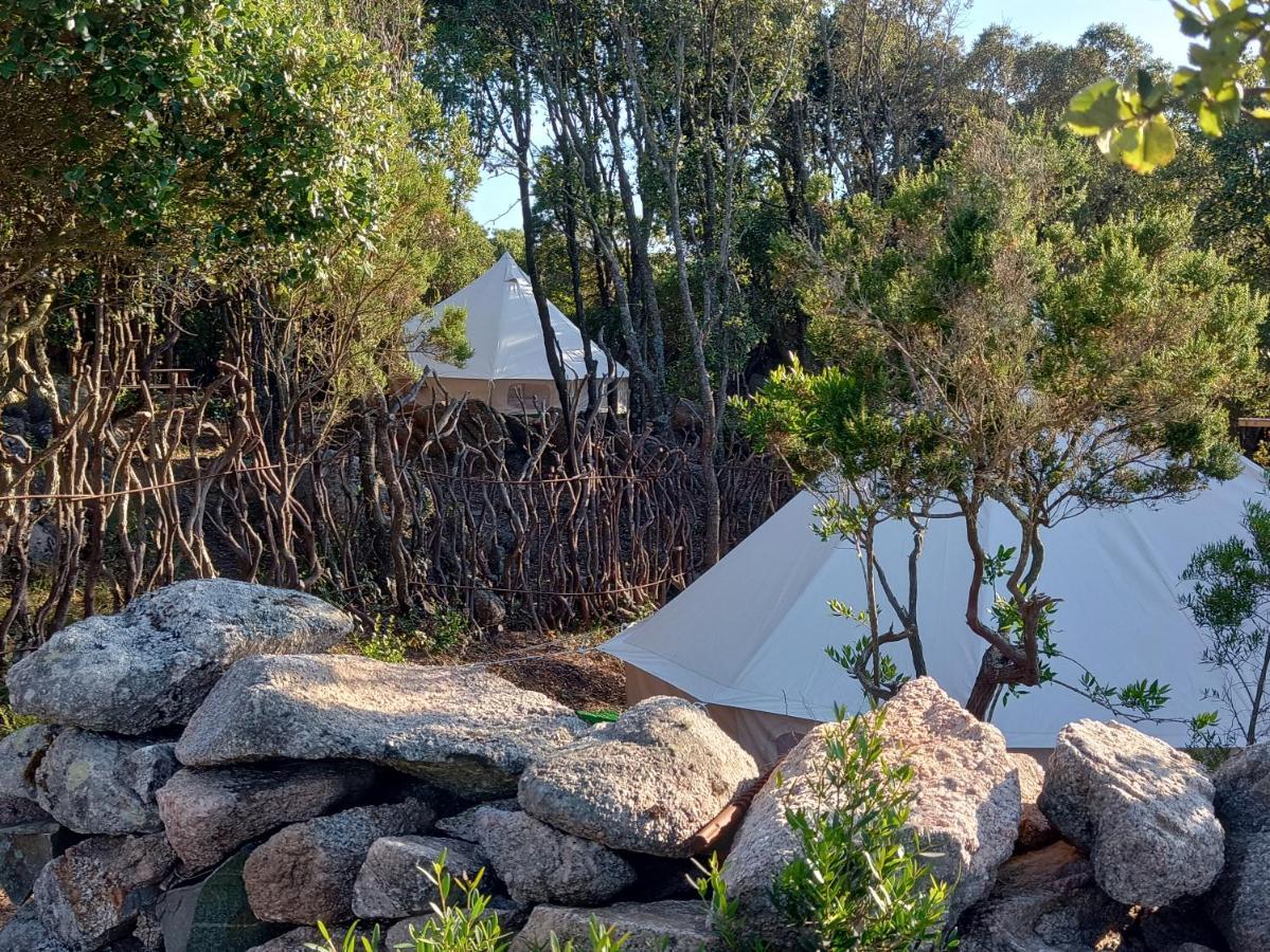 La Cera Farm Camping B&B 圣特雷莎加卢拉 外观 照片
