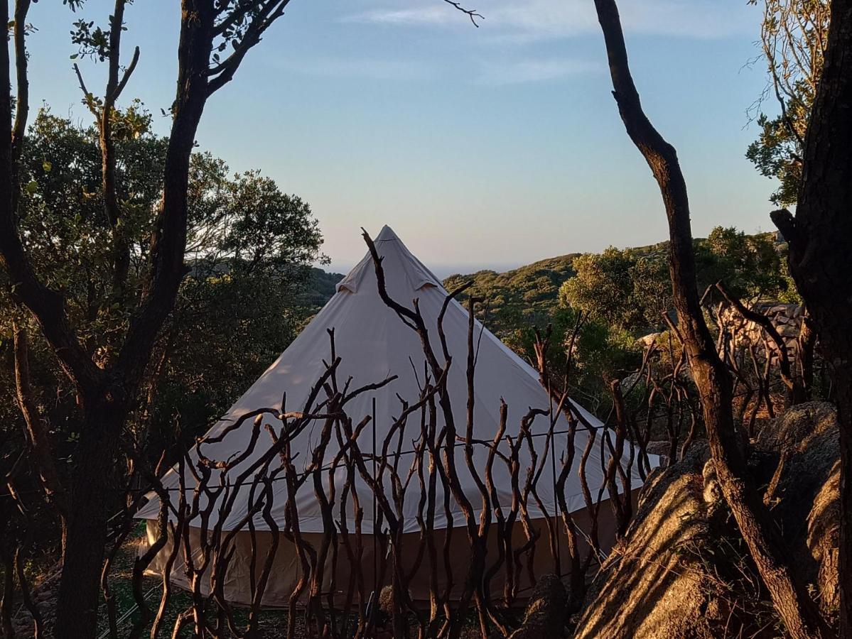 La Cera Farm Camping B&B 圣特雷莎加卢拉 外观 照片