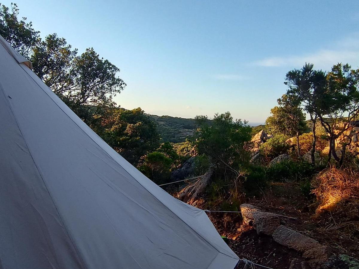 La Cera Farm Camping B&B 圣特雷莎加卢拉 外观 照片