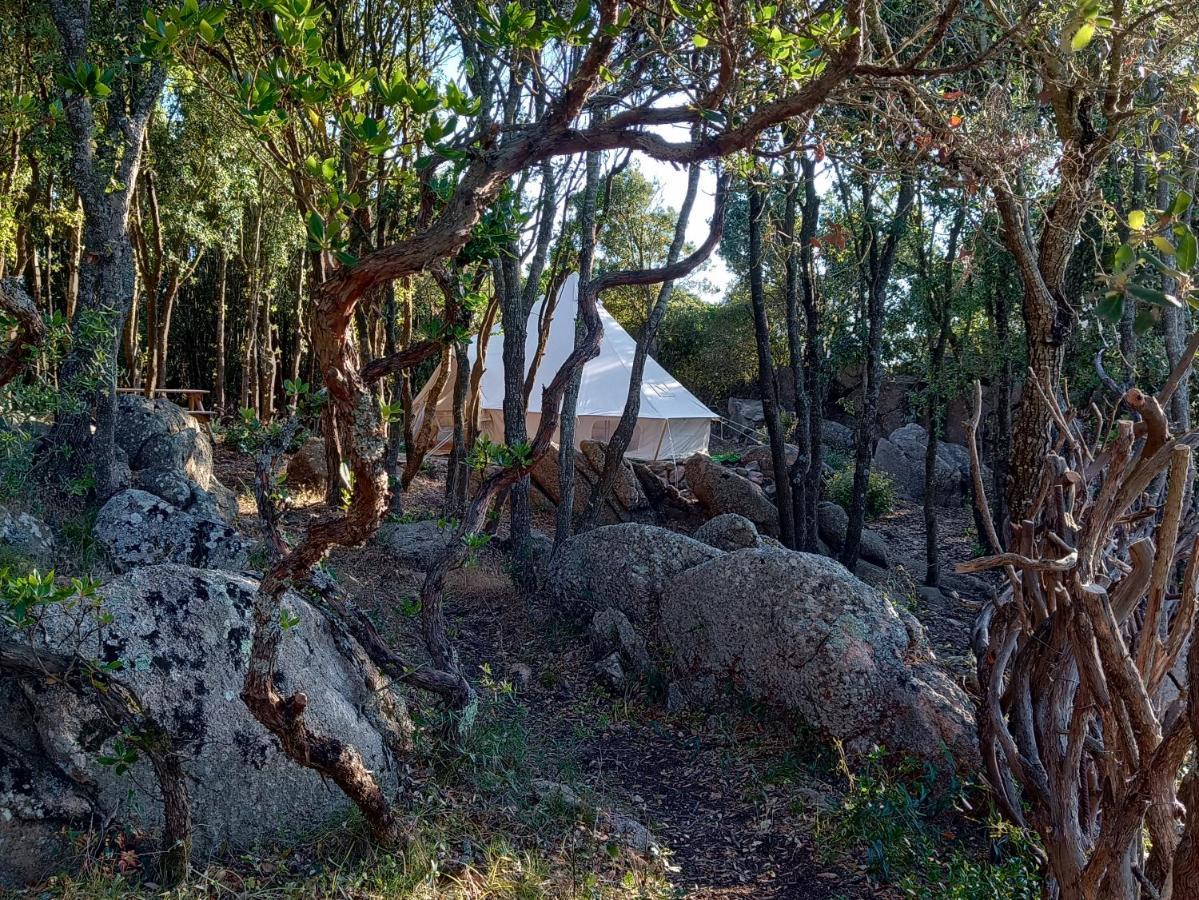 La Cera Farm Camping B&B 圣特雷莎加卢拉 外观 照片