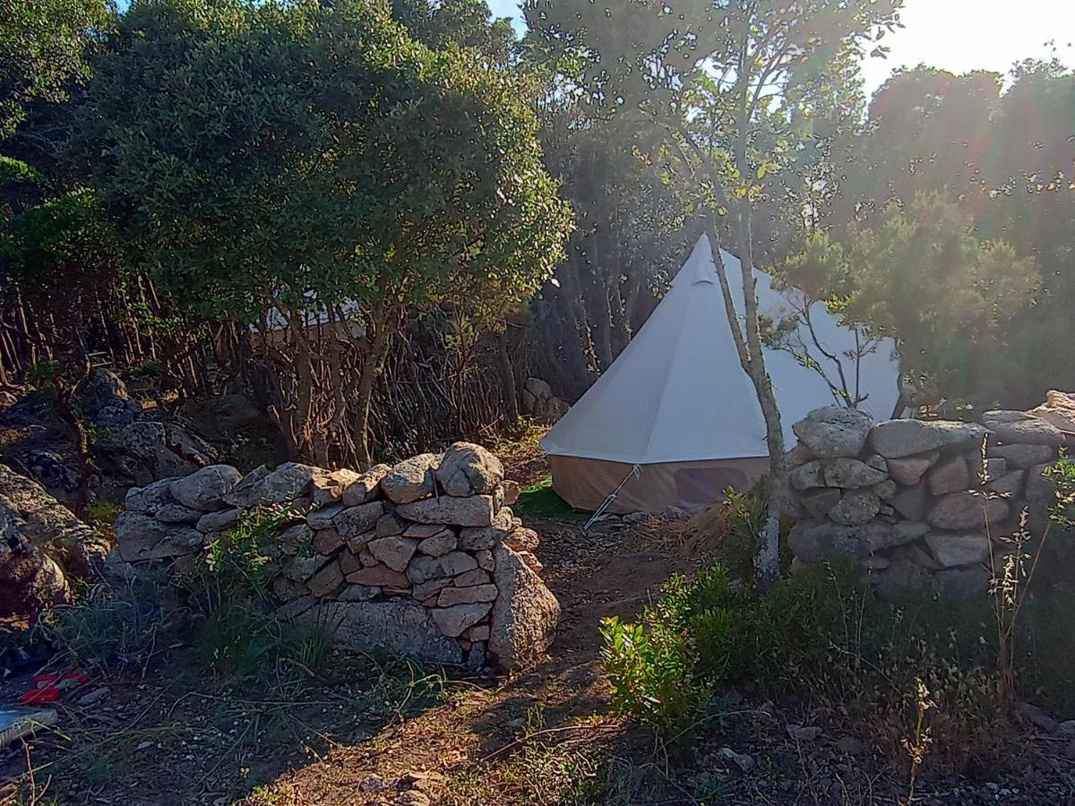 La Cera Farm Camping B&B 圣特雷莎加卢拉 外观 照片