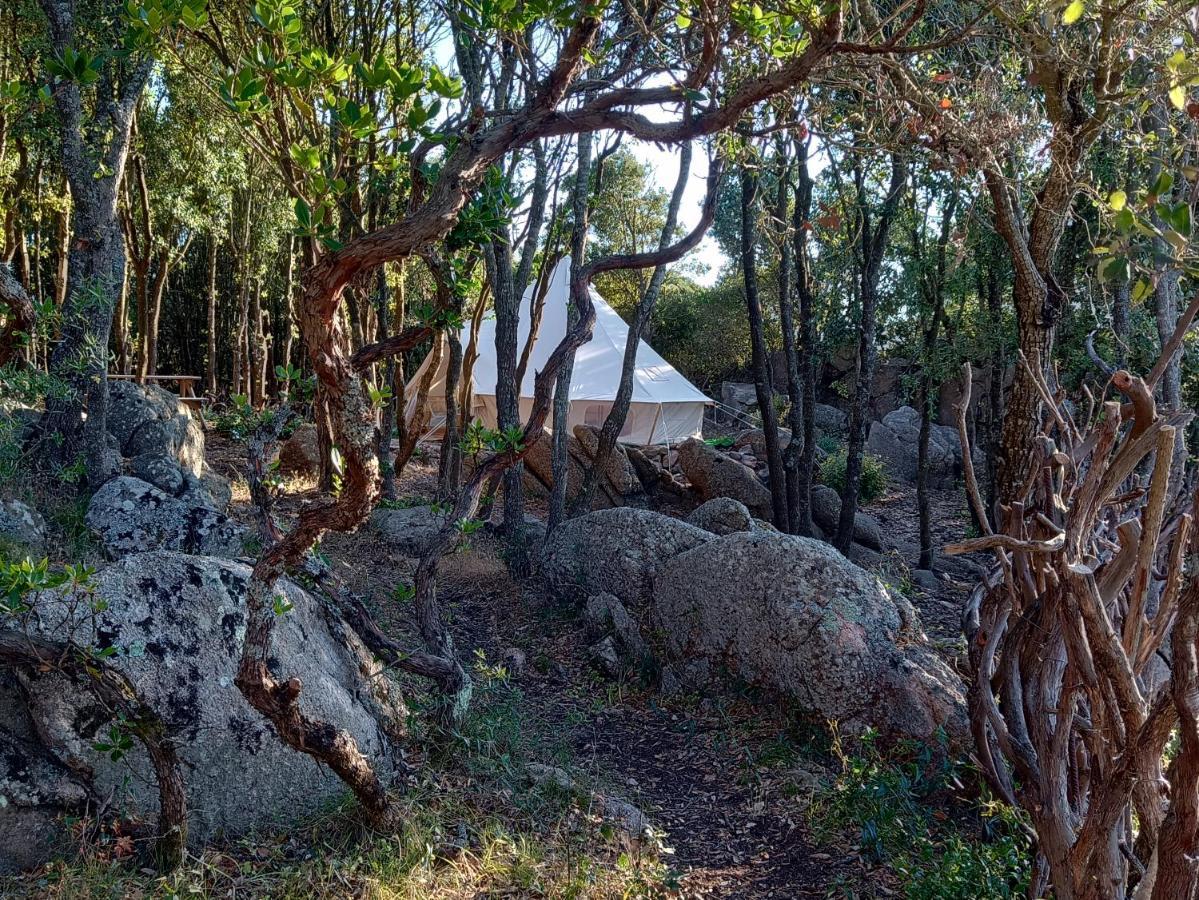 La Cera Farm Camping B&B 圣特雷莎加卢拉 外观 照片