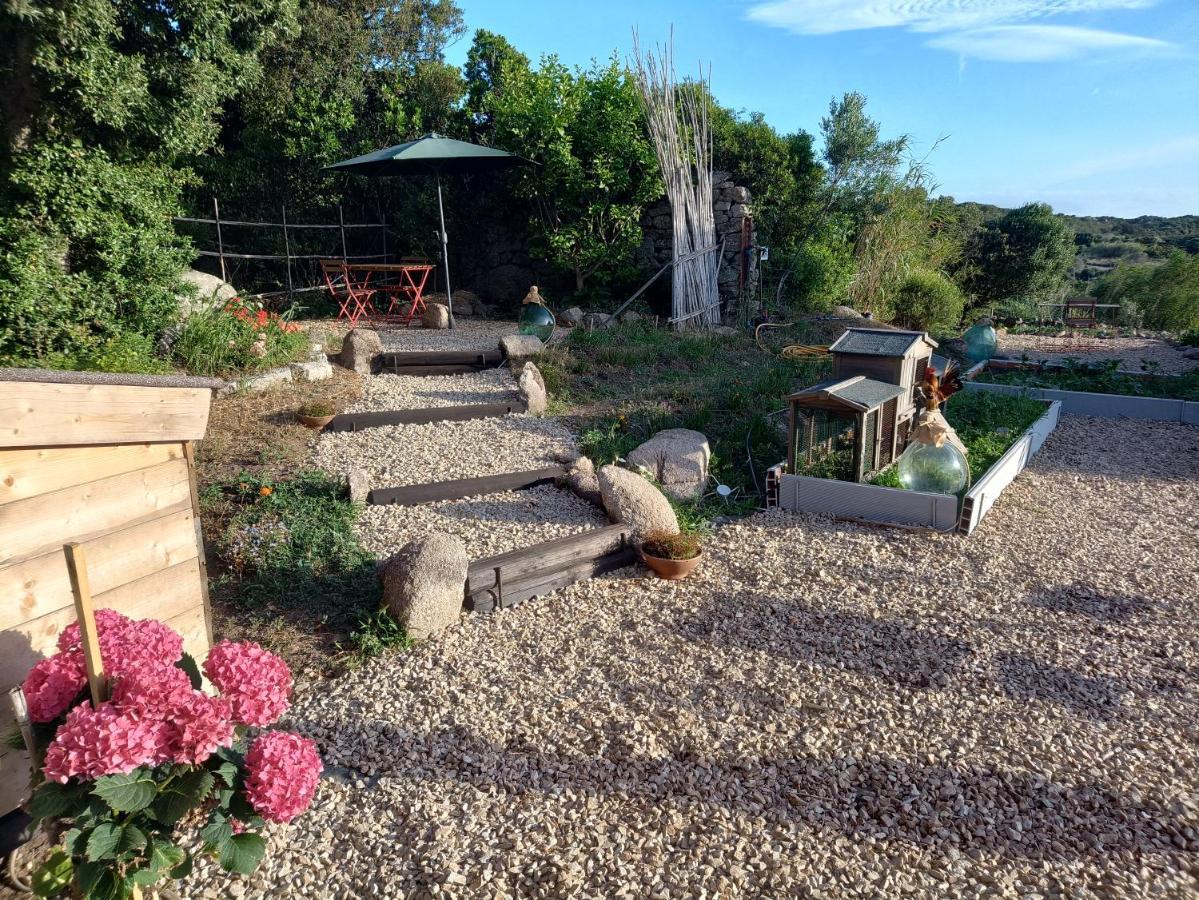 La Cera Farm Camping B&B 圣特雷莎加卢拉 外观 照片