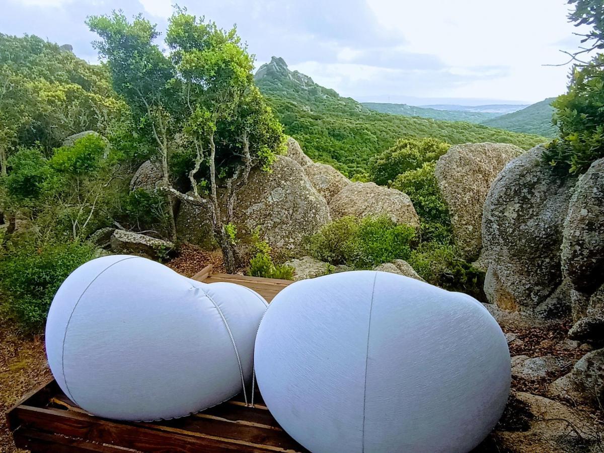 La Cera Farm Camping B&B 圣特雷莎加卢拉 外观 照片