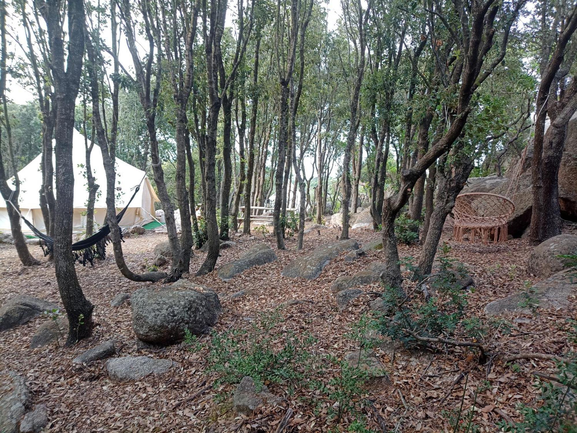 La Cera Farm Camping B&B 圣特雷莎加卢拉 外观 照片