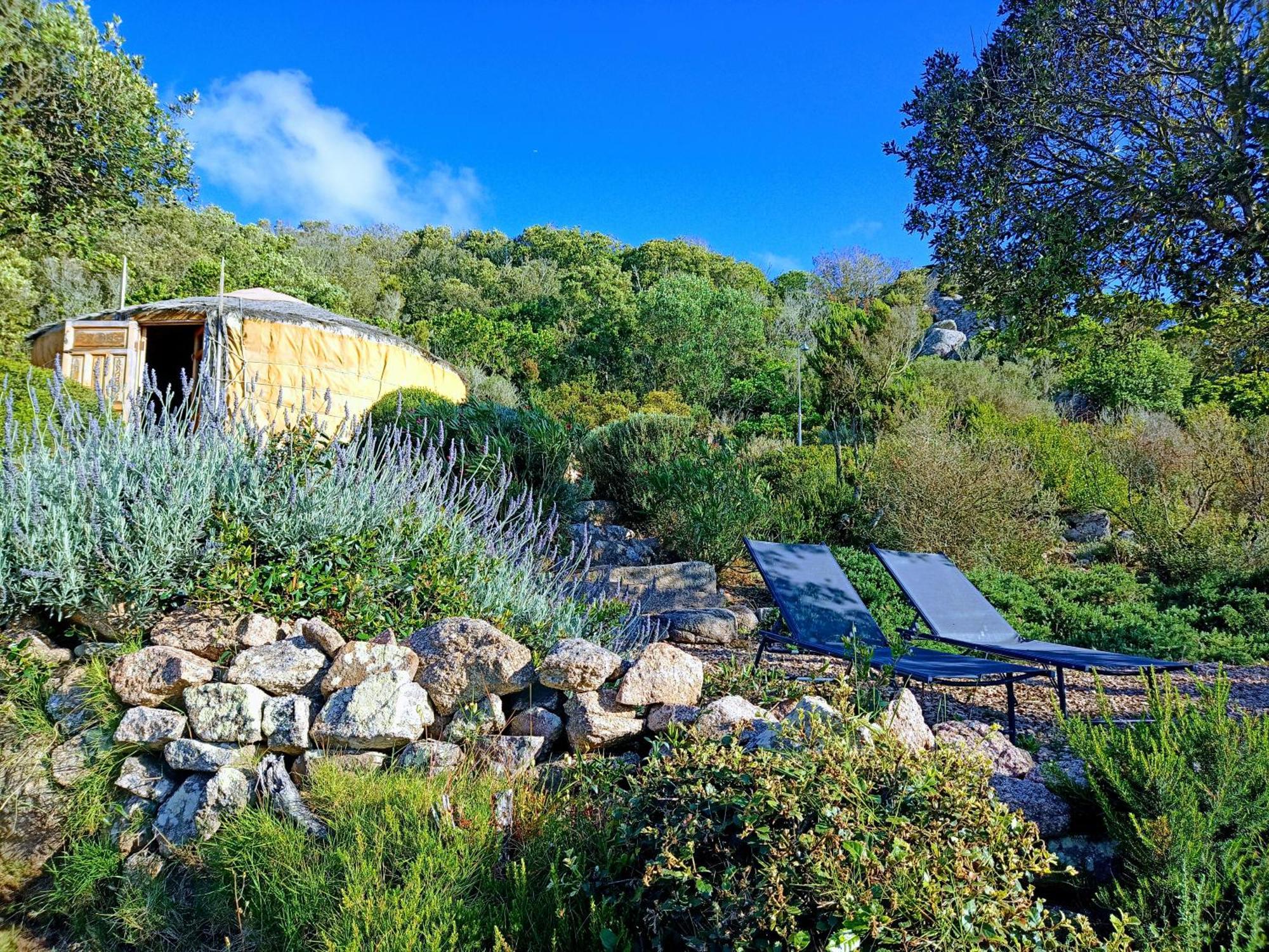 La Cera Farm Camping B&B 圣特雷莎加卢拉 外观 照片