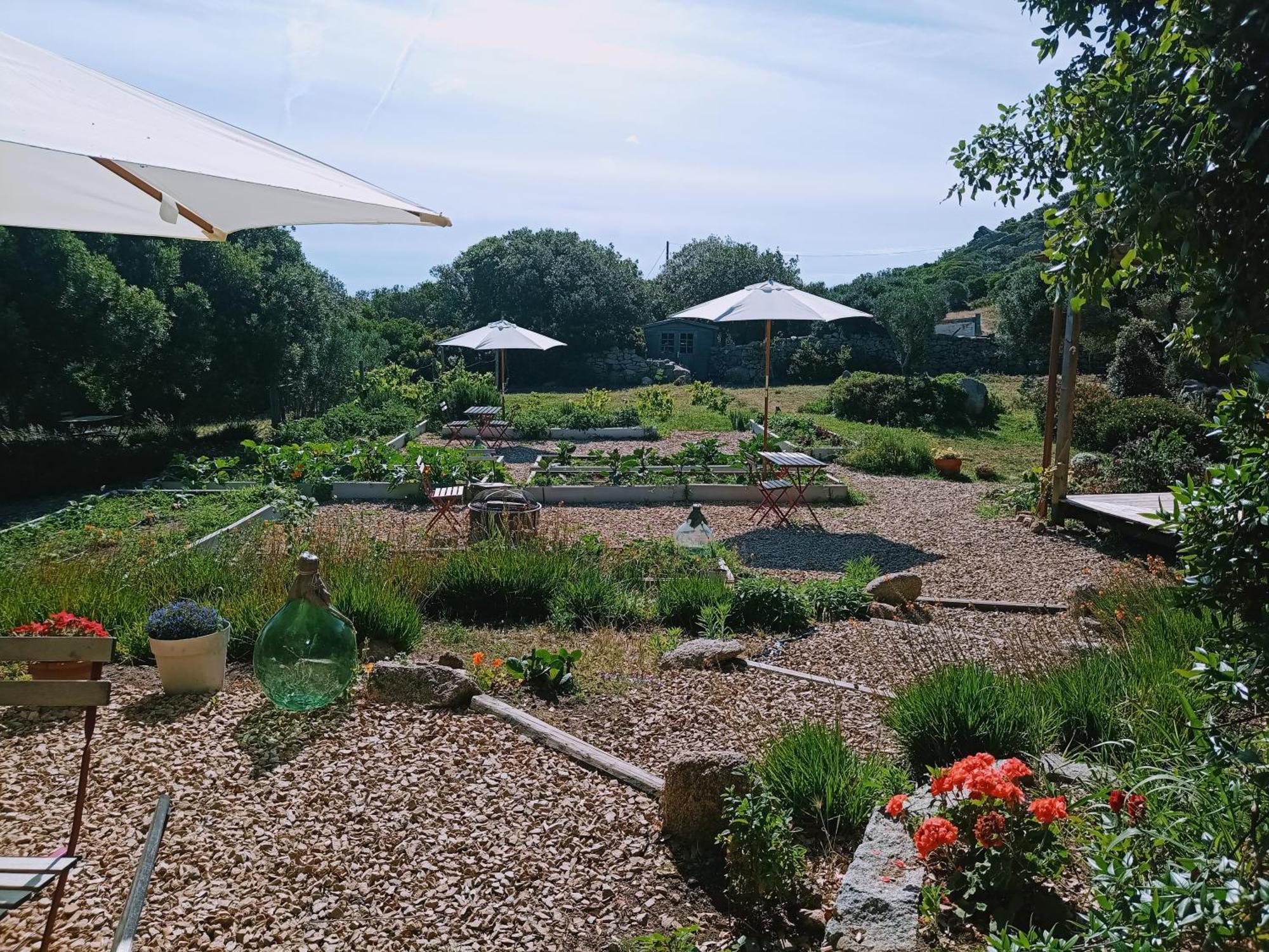 La Cera Farm Camping B&B 圣特雷莎加卢拉 外观 照片