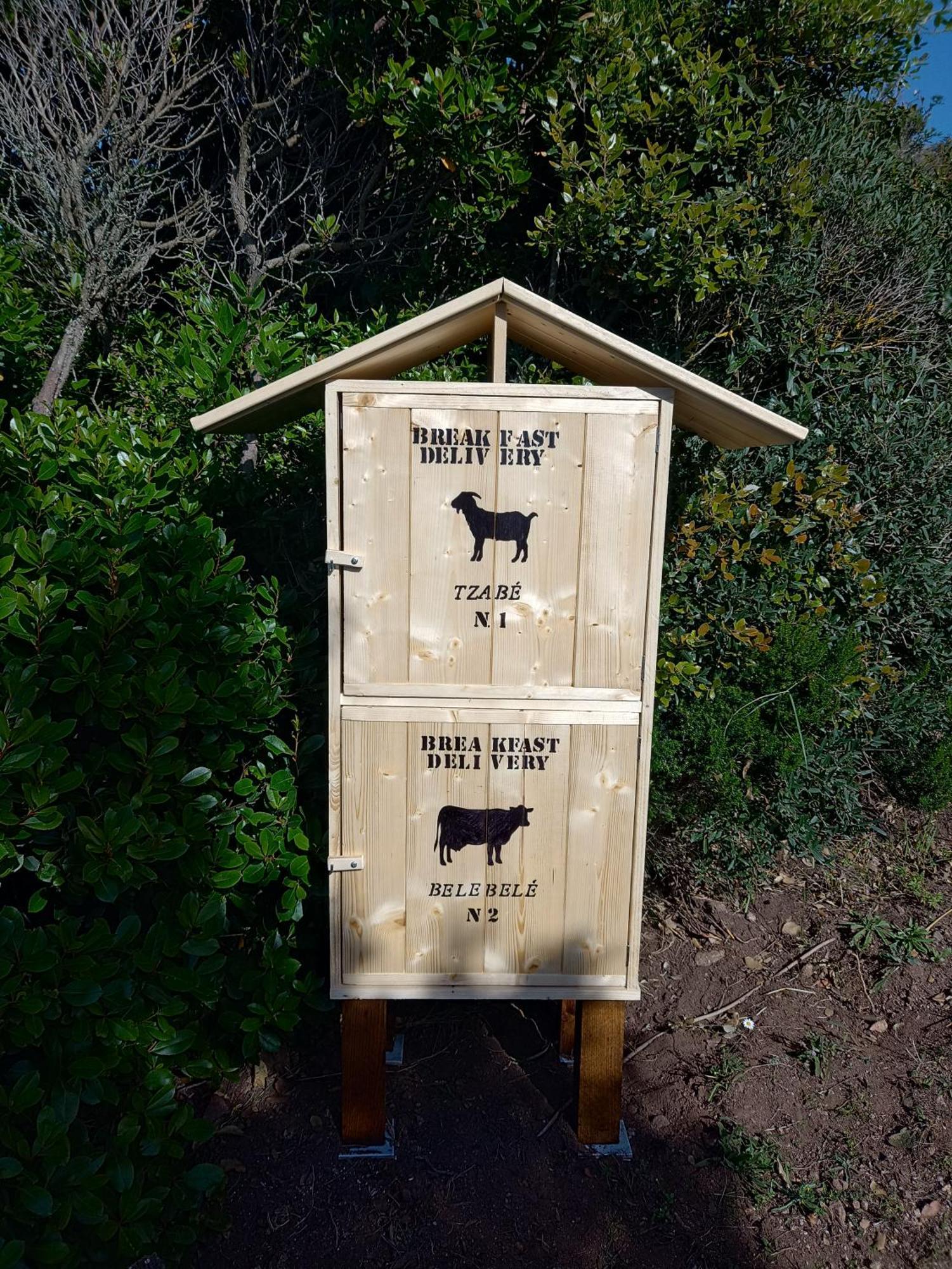 La Cera Farm Camping B&B 圣特雷莎加卢拉 外观 照片